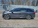 2019 Honda Odyssey Elite Gray vin: 5FNRL6H9XKB037825