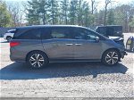 2019 Honda Odyssey Elite Gray vin: 5FNRL6H9XKB037825