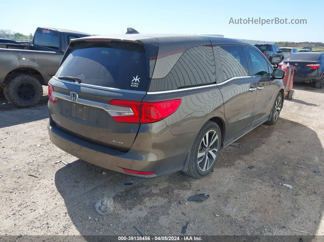 2019 Honda Odyssey Elite Brown vin: 5FNRL6H9XKB120364