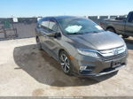 2019 Honda Odyssey Elite Brown vin: 5FNRL6H9XKB120364