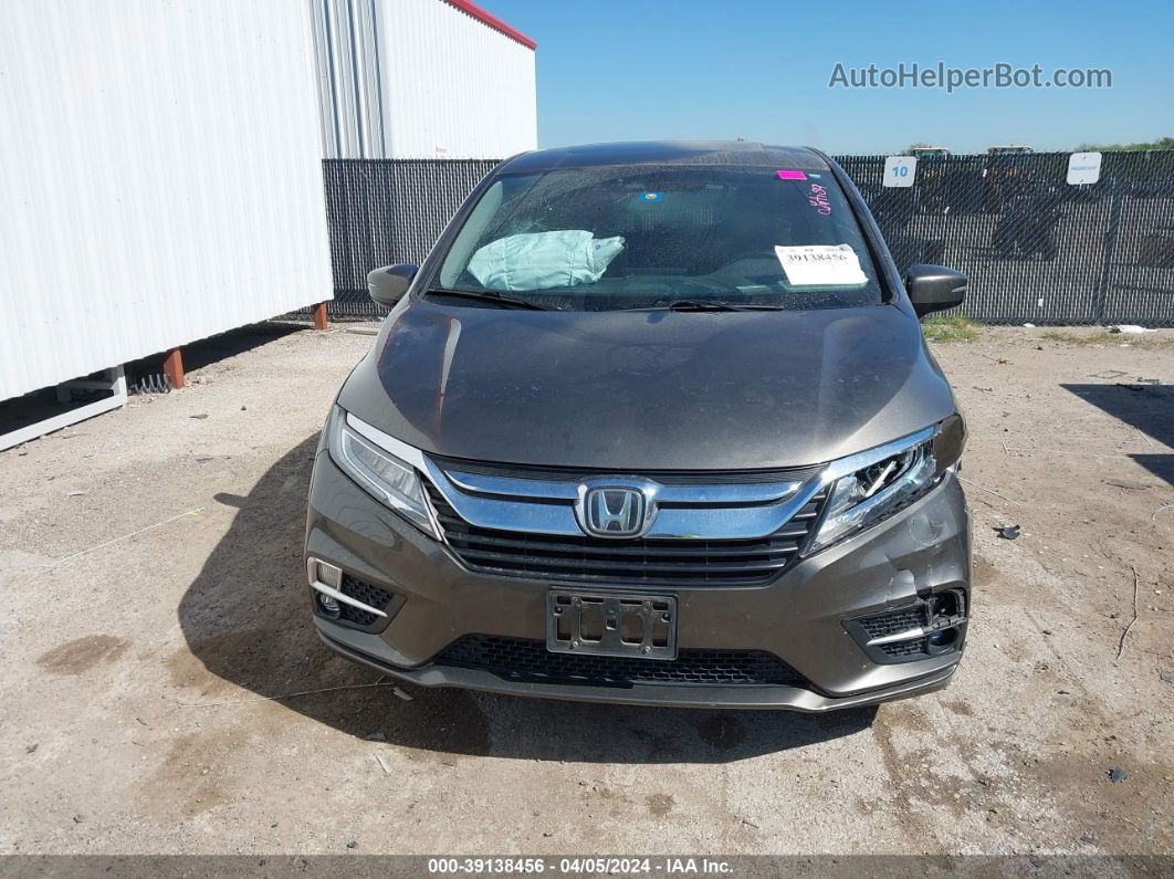 2019 Honda Odyssey Elite Brown vin: 5FNRL6H9XKB120364