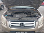 2007 Honda Pilot Ex-l Beige vin: 5FNYF18557B004130