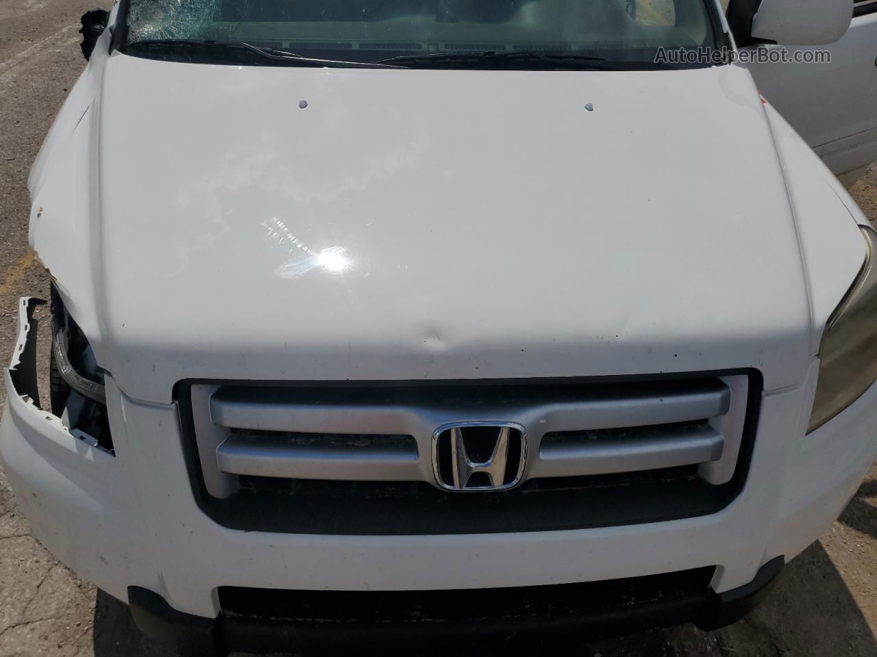 2007 Honda Pilot Exl White vin: 5FNYF18577B009667