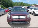 2007 Honda Pilot Ex-l Бордовый vin: 5FNYF18587B031841