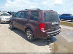 2009 Honda Pilot Ex Темно-бордовый vin: 5FNYF38429B022249