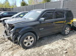 2009 Honda Pilot Ex Black vin: 5FNYF38459B001198