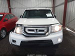 2009 Honda Pilot Ex-l Белый vin: 5FNYF38509B010349