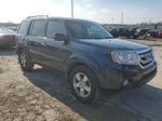 2009 Honda Pilot Exl Синий vin: 5FNYF38519B012983