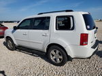 2009 Honda Pilot Exl Белый vin: 5FNYF38549B012914