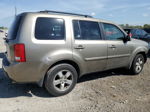 2009 Honda Pilot Exl Золотой vin: 5FNYF38549B023282