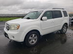 2009 Honda Pilot Exl Белый vin: 5FNYF38569B026443