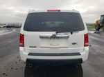 2009 Honda Pilot Exl Белый vin: 5FNYF38569B026443