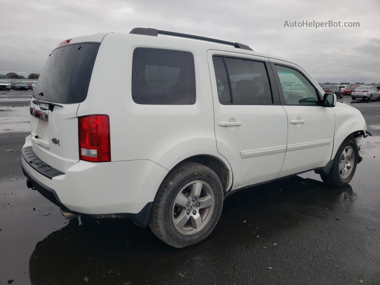 2009 Honda Pilot Exl Белый vin: 5FNYF38569B026443