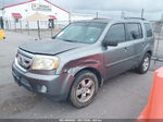 2009 Honda Pilot Ex-l Gray vin: 5FNYF38589B017016