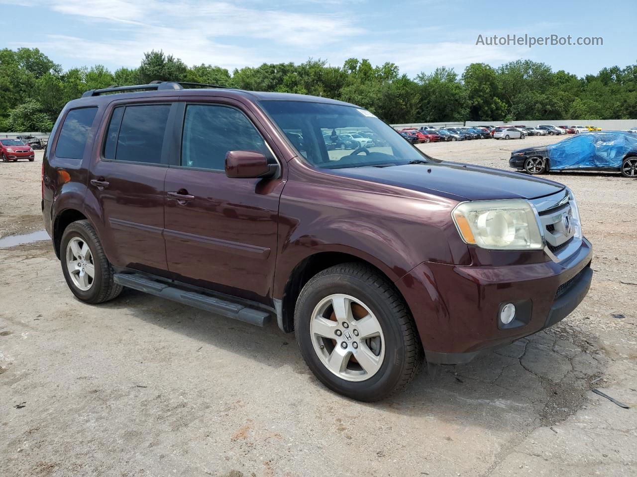 2009 Honda Pilot Exl Maroon vin: 5FNYF38619B009820