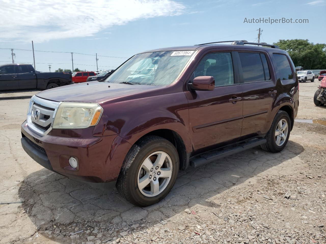 2009 Honda Pilot Exl Темно-бордовый vin: 5FNYF38619B009820