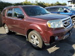 2009 Honda Pilot Exl Purple vin: 5FNYF38679B006484