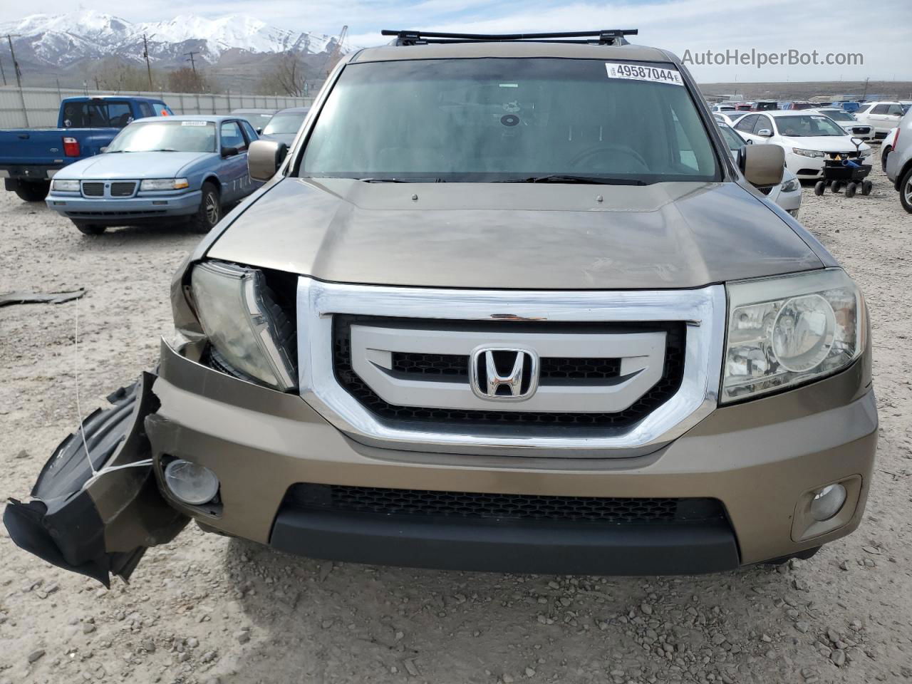 2009 Honda Pilot Exl Желто-коричневый vin: 5FNYF38699B010441