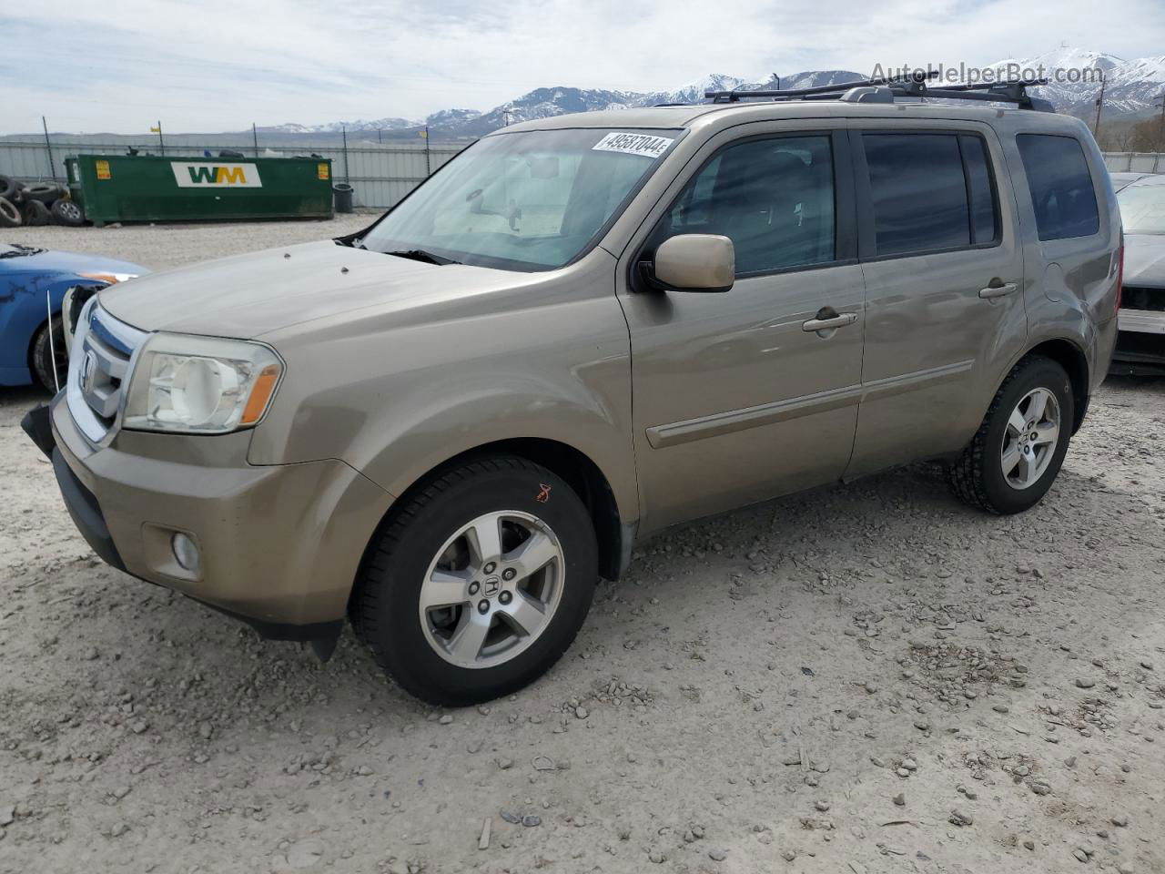 2009 Honda Pilot Exl Желто-коричневый vin: 5FNYF38699B010441