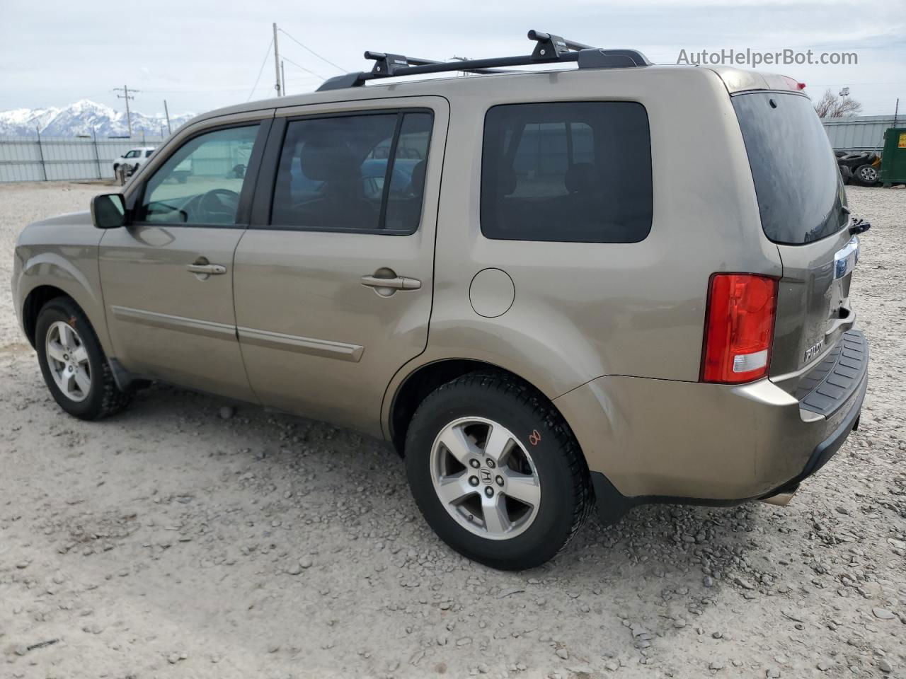 2009 Honda Pilot Exl Желто-коричневый vin: 5FNYF38699B010441