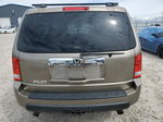 2009 Honda Pilot Exl Желто-коричневый vin: 5FNYF38699B010441