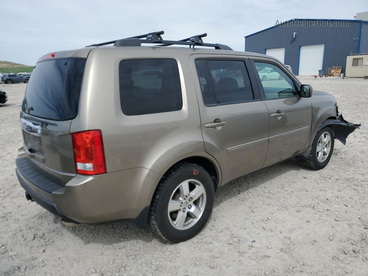 2009 Honda Pilot Exl Желто-коричневый vin: 5FNYF38699B010441