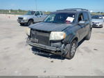 2009 Honda Pilot Touring Gray vin: 5FNYF38979B015048