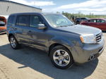 2013 Honda Pilot Ex Gray vin: 5FNYF3H48DB031160