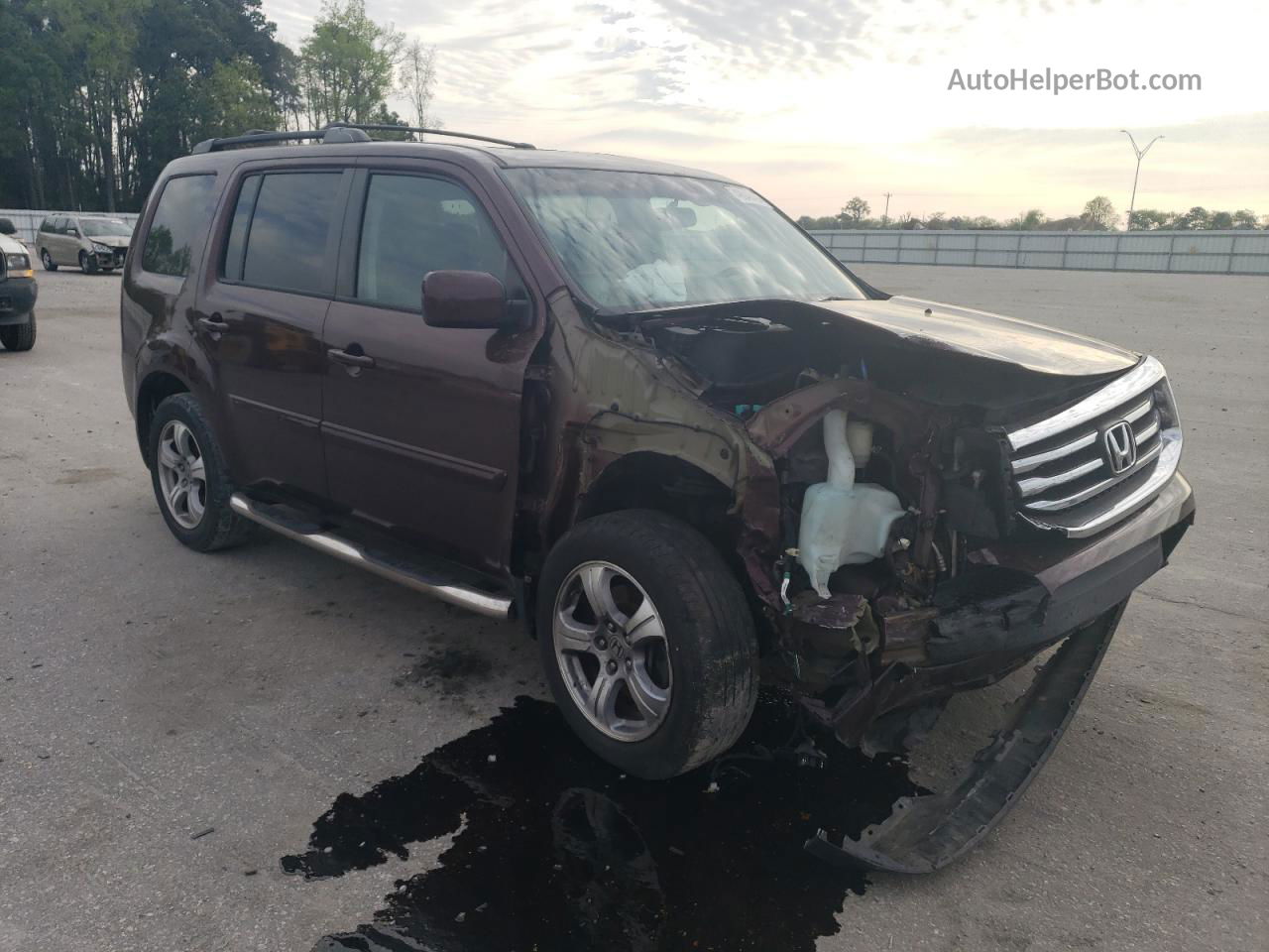 2013 Honda Pilot Exl Burgundy vin: 5FNYF3H51DB042722