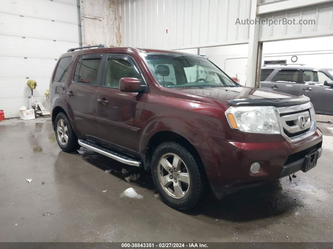 2009 Honda Pilot Ex Burgundy vin: 5FNYF48409B036222