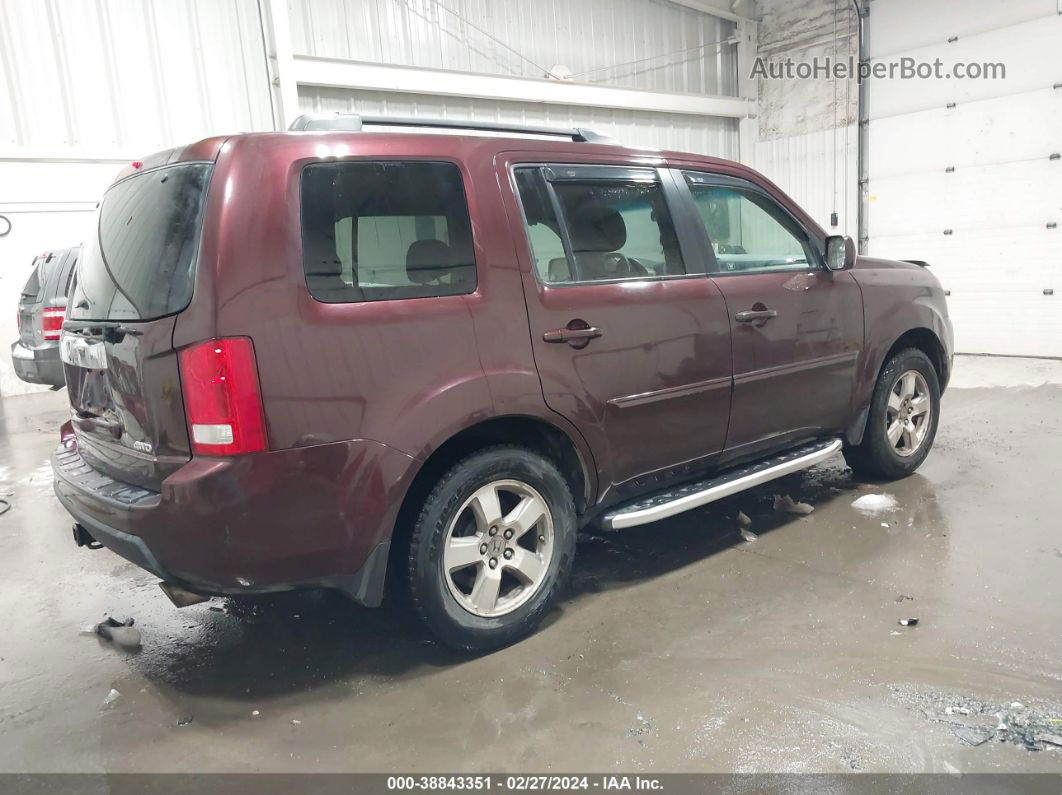 2009 Honda Pilot Ex Burgundy vin: 5FNYF48409B036222