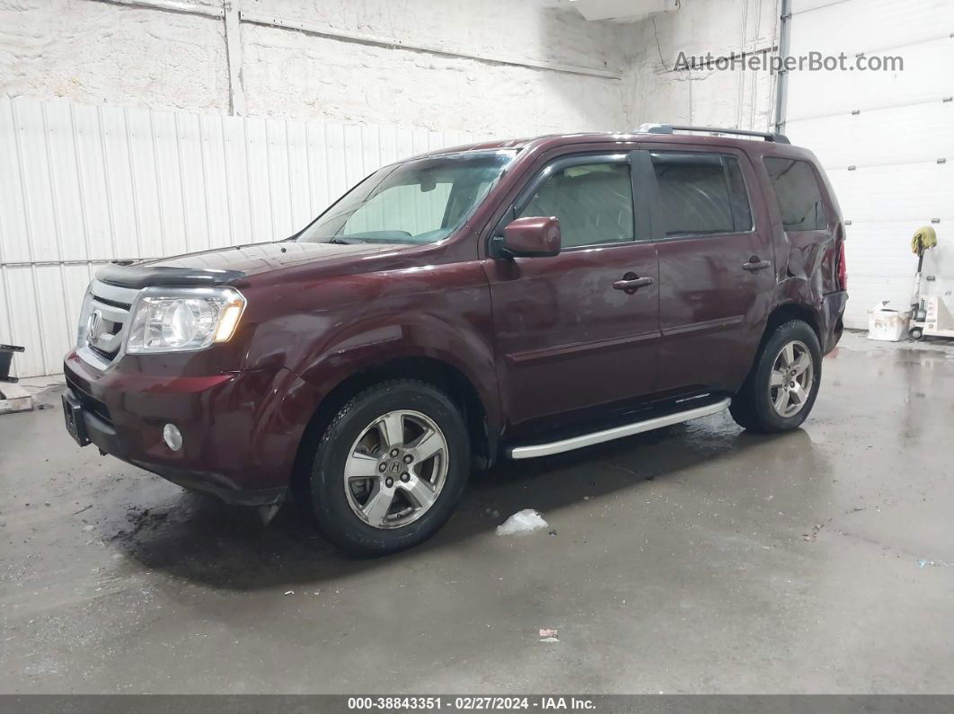 2009 Honda Pilot Ex Бордовый vin: 5FNYF48409B036222