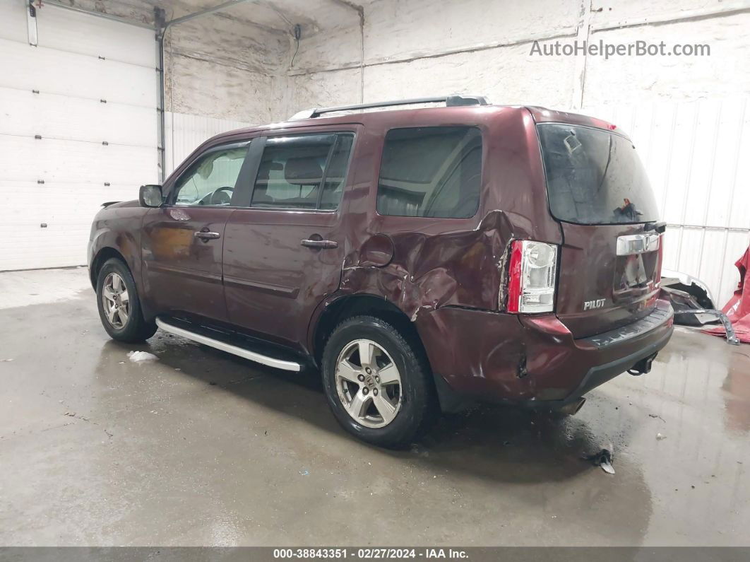 2009 Honda Pilot Ex Бордовый vin: 5FNYF48409B036222