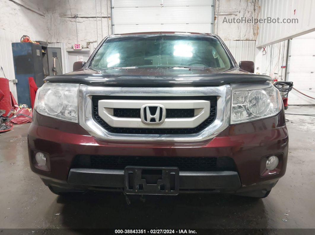 2009 Honda Pilot Ex Бордовый vin: 5FNYF48409B036222