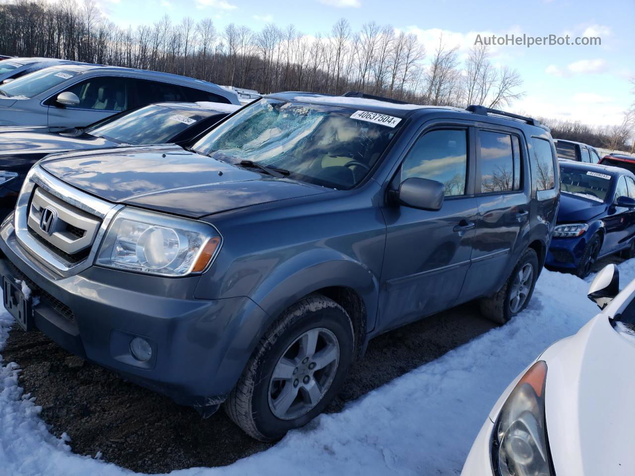 2009 Honda Pilot Ex Gray vin: 5FNYF48419B000801