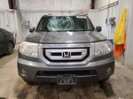 2009 Honda Pilot Ex Gray vin: 5FNYF48419B000801