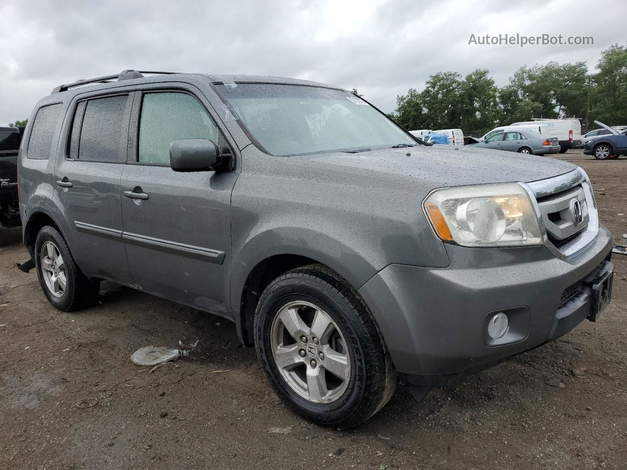 2009 Honda Pilot Ex Gray vin: 5FNYF48429B036965