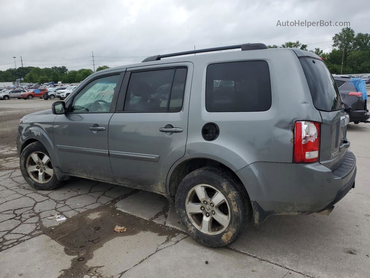 2009 Honda Pilot Ex Gray vin: 5FNYF48449B031511