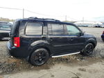 2009 Honda Pilot Ex Black vin: 5FNYF48459B044199