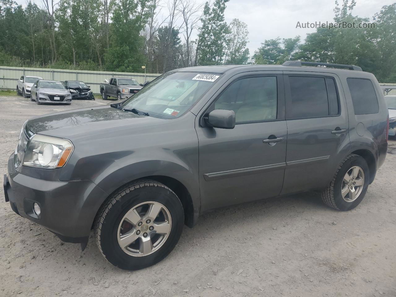 2009 Honda Pilot Ex Gray vin: 5FNYF48469B054837