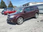 2009 Honda Pilot Exl Темно-бордовый vin: 5FNYF48509B030929