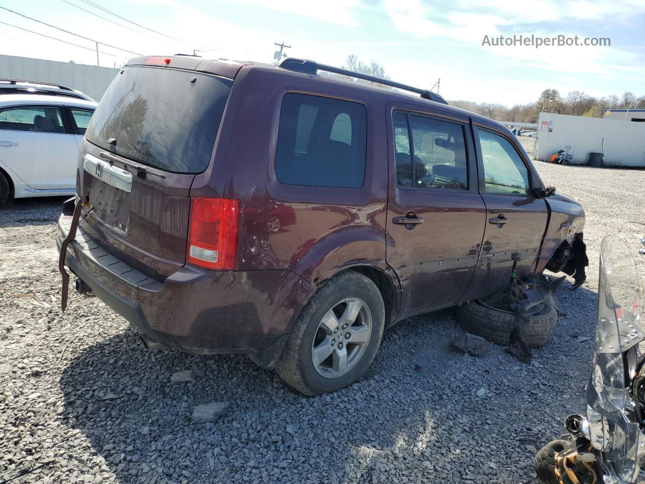 2009 Honda Pilot Exl Темно-бордовый vin: 5FNYF48509B030929