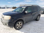 2009 Honda Pilot Exl Black vin: 5FNYF48509B501297