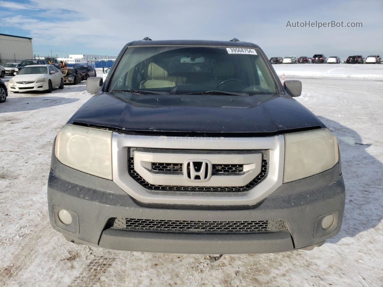 2009 Honda Pilot Exl Black vin: 5FNYF48509B501297