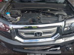 2009 Honda Pilot Ex-l Gray vin: 5FNYF48519B013945