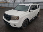 2009 Honda Pilot Exl White vin: 5FNYF48549B040783