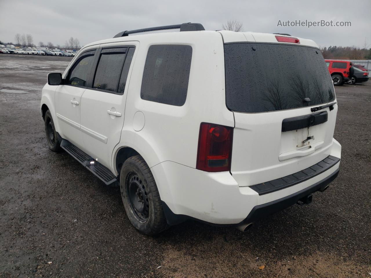 2009 Honda Pilot Exl White vin: 5FNYF48549B040783