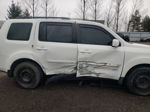 2009 Honda Pilot Exl White vin: 5FNYF48549B040783