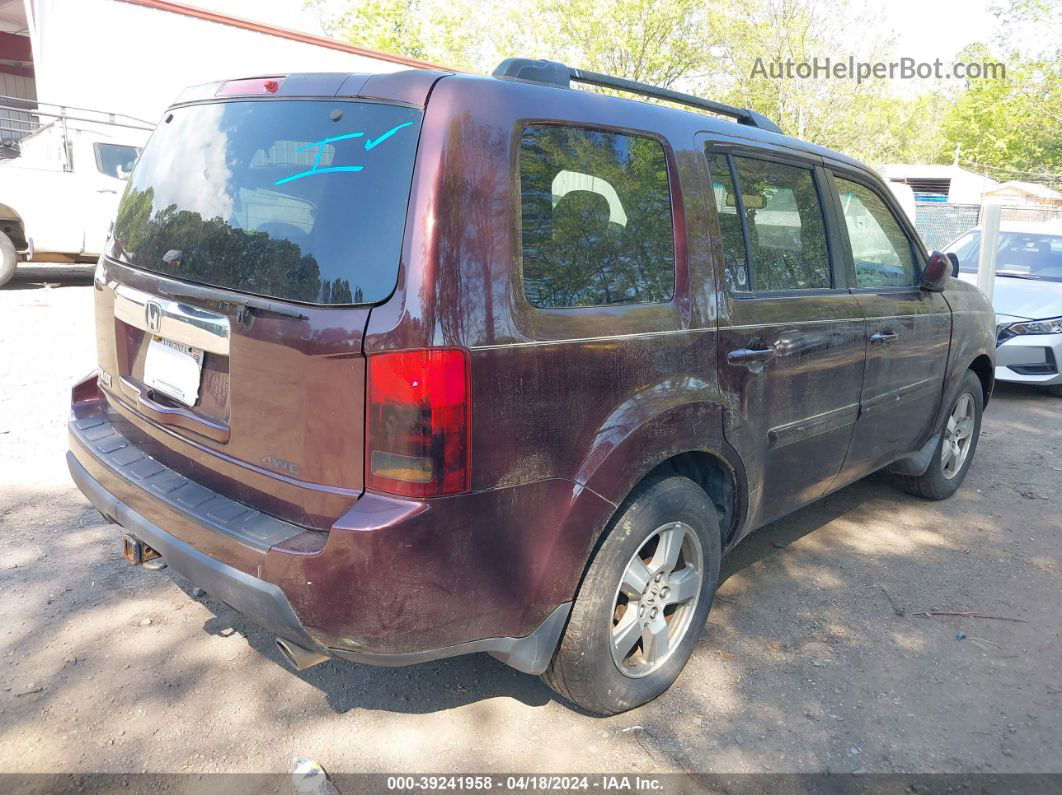 2009 Honda Pilot Ex-l Темно-бордовый vin: 5FNYF48559B037052