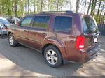 2009 Honda Pilot Ex-l Темно-бордовый vin: 5FNYF48559B037052